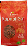 Mega Foods Organic Goji Berries 100gr ΒΙΟ161