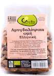 Όλα Bio Ελληνικά Organic Almonds Raw Shelled Unsalted 200gr ΒΙΟ071