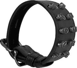 Shots Ouch Skulls And Bones Bracelet With Skulls