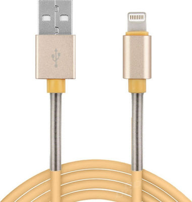 AMiO Braided USB to Lightning Cable Χρυσό 1m (01432/AM)