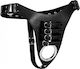 XR Strict Leather Male Chastity Harness