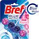 Bref Blue Activ+ Block Λεκάνης με Άρωμα Floral 50gr