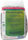 HealthTrade Biologisch Sonnenblumenkerne Roh Ungesalzen 250gr