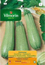 Vilmorin Cabbage Seed