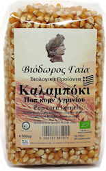 Viodoros Gaia Produs Organic Pop Corn Kernels 500gr 600-0379