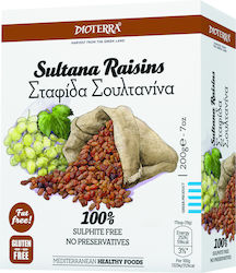 Dioterra Σουλτανίνα Σταφίδα Ξανθή με Ζάχαρη 200gr