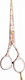 Jaguar Solingen White Line Sweet Daisy Hair Cutting Trimming Scissor 5.5"