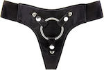 Shots Realrock Harness Deluxe Gurtzeug in Schwarz Farbe