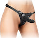 Shots Ouch Pleasure Strap-On Harness with Dildo 15cm in Black Color