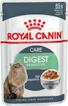 Royal Canin Digest Sensitive Nasses Katzenfutter für Katze in Beutel 12x85gr 2607010