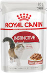 Royal Canin Instinctive Gravy Υγρή Τροφή για Ενήλικη Γάτα σε Φακελάκι 85gr