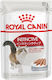 Royal Canin Instinctive Wet Food for Adult Cats in Pouches with Poultry 12x85gr