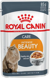 Royal Canin Intense Beauty Hrană umedă pentru Pisică Adultă în Pungă 12x85gr 2623010