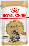 Royal Canin Maine Coon Wet Food for Adult Cat in Pouch 12x85gr 2619010