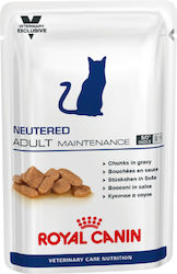 Royal Canin Neutered Adult Maintenance Wet Food for Adult Cats In Pouch with 1pc 100gr