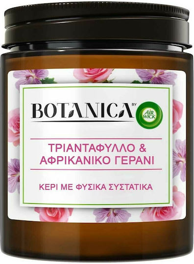 Airwick Botanica Αρωματικό σε Βάζο Τριαντάφυλλο & Αφρικανικό Γεράνι Airwick Botanica Αρωματικό σε Βάζο Τριαντάφυλλο & Αφρικανικό Γεράνι