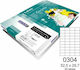 Rayfilm Everyday 4000 Self-Adhesive Rectangular A4 Labels 52.5x29.7mm