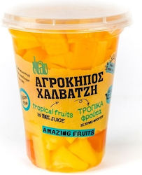Oikogeneia CHalvatzi Compote Tropical Fruits in Glass 400gr
