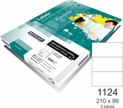 Rayfilm 300 Selbstklebende A4-Etiketten Everyday 210x99mm