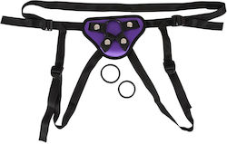 You2Toys Universal Harness + 3 Rings Gurtzeug in Lila Farbe