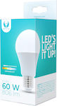 Forever Light LED Lampen für Fassung E27 und Form A60 Kühles Weiß 806lm 1Stück