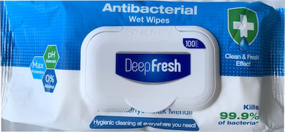 Deep Fresh Antibacterial Wet Wipes 100τμχ