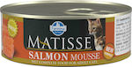 Farmina Matisse Wet Food for Adult Cats in Cans with Salmon 12x85gr