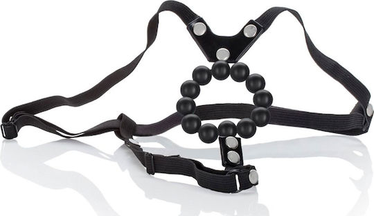 Calexotics Lover's Thong with Stroker Beads Fully Adjustable Gurtzeug in Schwarz Farbe