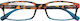 Zippo Women's Reading Glasses +1.50 Multicolore...