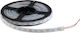 Elmark Bandă LED Impermeabilă 12V Lumină Alb Rece 5m Tip SMD3528