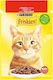 Friskies Wet Food for Adult Cats in Pouches with Liver 85gr