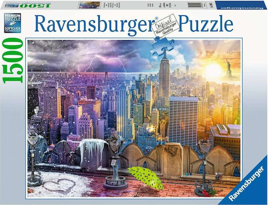 New York Winter & Summer Puzzle 2D 1500pcs