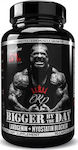 Rich Piana 5% Nutrition Bigger By The Day 90 κάψουλες