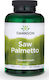 Swanson Saw Palmetto Συμπλήρωμα για την Υγεία του Προστάτη 540mg 250 κάψουλες