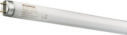 Sylvania Fluorescent Lamp with Shape T8 36W