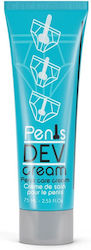 Ruf Penis Dev Διεγερτική Κρέμα για Άνδρες 100ml