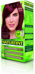 Naturtint Permanent Hair Colour 6.66 Intense Red Naturtint Permanent Hair Colour 6.66 Intense Red