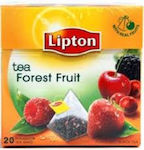 Lipton Μαύρο Τσάι Forest Fruit 20 Φακελάκια