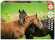 Kids Puzzle Horses 200pcs Educa