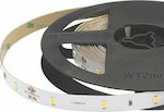 Cubalux Wasserdicht LED Streifen Versorgung 12V mit Kaltweiß Licht Länge 5m und 36 LED pro Meter SMD2835