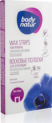 Body Natur Hair Removal Strips 12 Pieces