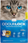 Intersand Odourlock Clumping Odour Control Cat Litter 12kg