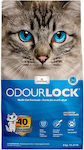 Intersand Odourlock Katzenstreu 6kg