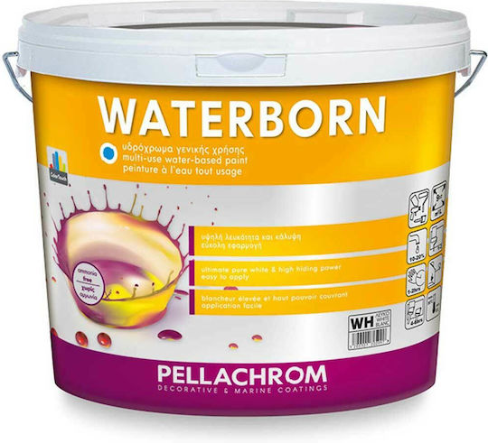 Pellachrom Waterborn Plastic Watercolor Paint for Interior Use White 9lt