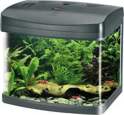 Croci xCube 26 Led Aquarium mit einer Kapazität von 26Es mit Beleuchtung, Filter und 31x32x37cm. Schwarz A2001281