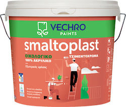 Vechro Smaltoplast Concrete Acrylic Paint