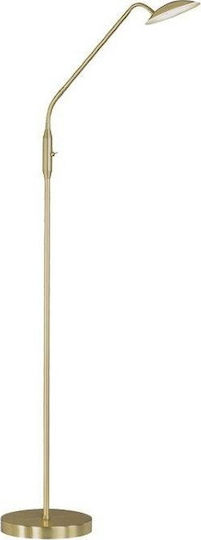 Wofi Orta Lampa de podea LED Î135xL23cm. cu Lumină Alb Cald 800lm Auriu