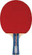 Spokey Winner Ping Pong Racket for Advanced Players