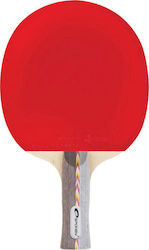 Spokey Explosive Ρακέτα Ping Pong για Προχωρημέ...