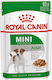 Royal Canin Υγρή Τροφή Σκύλου με Κρέας σε Φακελάκι 85γρ.